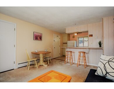 32 Jacqueline Rd unit B, Waltham, MA 02452 - photo 3