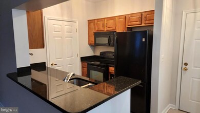 4550 Strutfield Ln unit 2416, Alexandria, VA 22311 - photo 5