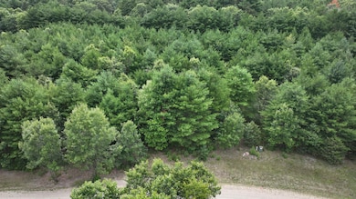 Lot 15 Sandy Pines Ct, Redgranite, WI 54970 - photo 5