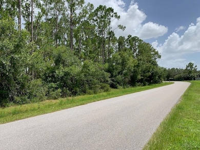 0 Joe Jeff St, North Port, FL 34286 - photo 5