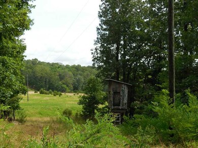 59 Acres Hyde (Wc 3270) Rd, West Fork, AR 72774 - photo 7
