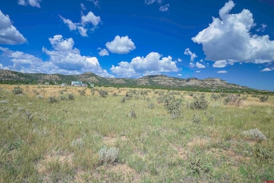 15308 Cr 71 1, Trinidad, CO 81082 - photo 2