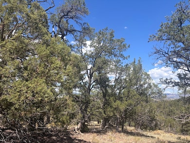 0 Lot 23 Tee Pee Ranch unit 1090346, Datil, NM 87821 - photo 3