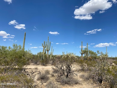 +/-40acres S Davis Ranch Rd, Marana, AZ 85658 - photo 6