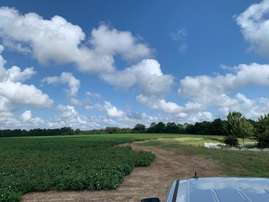 0 N Gordon St, Ashburn, GA 31714 - photo 2