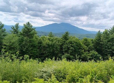 0 Cat Hole Rd unit 5052634, Claremont, NH 03743 - photo 2