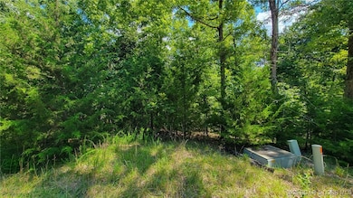 Lot #866 Grand Cypress, Jasper Township, MO 65079 - photo 5