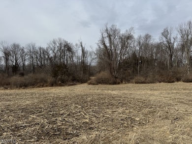 0 Decker Pond Airport Rd unit 3945534, Green Twp., NJ 07821 - photo 6