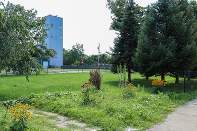 IMG_0892