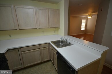 4 Tyler Falls Ct unit F, Baltimore, MD 21209 - photo 7