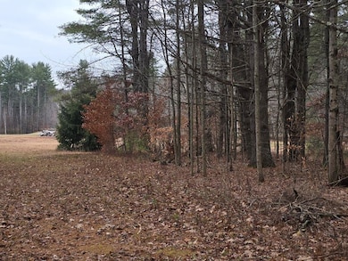 00 Stage Rd unit 440, Unity, NH 03603 - photo 6