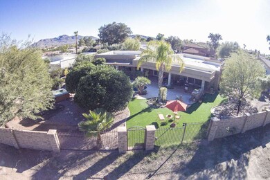 Aerial Backyard