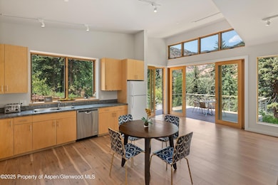 768 Kings Lake Rd, Basalt, CO 81621 - photo 5