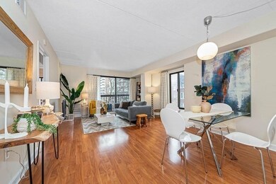 280 Harvard St unit 3A, Cambridge, MA 02139 - photo 2