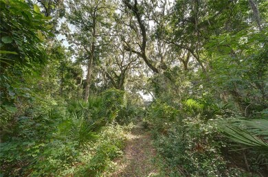 181 Merion, St. Simons Island, GA 31522 - photo 2