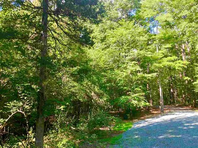 Lot 4 Arcadia Ln, Pittsboro, NC 27312 - photo 6