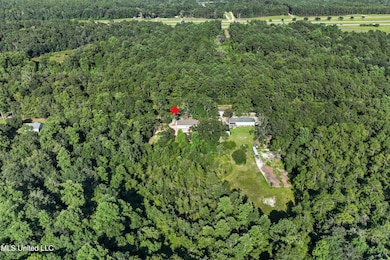 25485 Old Highway 49, Saucier, MS 39574 - photo 6