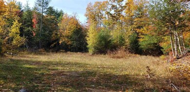 1195 Route 16 unit 1185,1195,1205,1215, Ossipee, NH 03864 - photo 2