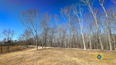 0 Highway 438 unit 25510456, Centerville, TN 37033 - photo 2