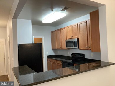 6161 Willow Place unit 206, Bealeton, VA 22712 - photo 4