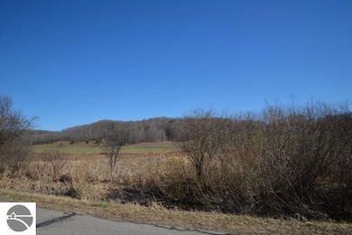 0 Wilson Rd unit 1931669, East Jordan, MI 49727 - photo 4