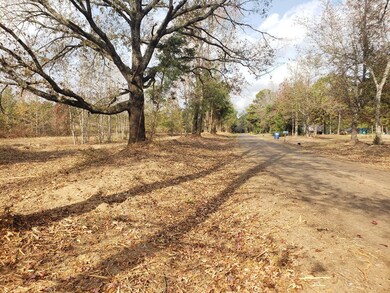 TBD 10.097 ac County Road 1552, Long Branch, TX 75669 - photo 7