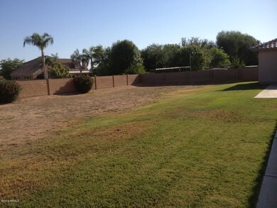 Back yard