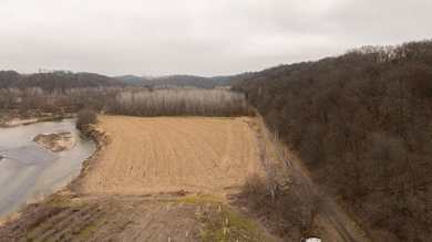 Impala Rd, Garber, IA 52048 - photo 4