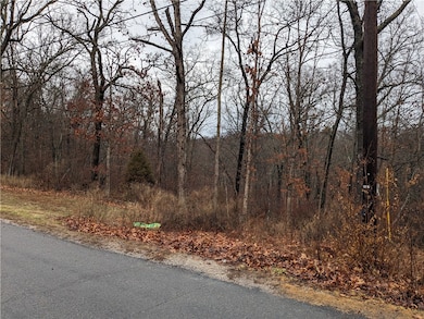 29 Eaton Cir, Bella Vista, AR 72715 - photo 3