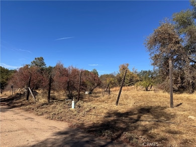 4582 Ashworth Rd, Mariposa, CA 95338 - photo 4