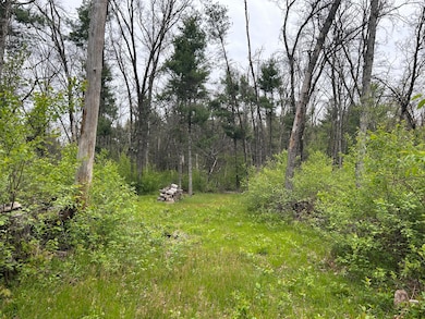 6986 W Baldwin Rd, Baldwin, MI 49304 - photo 6