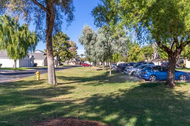 Greenbelts through the community