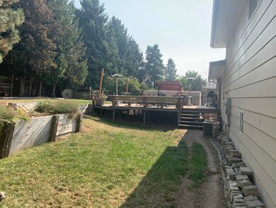Backyard 3