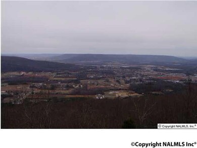 VIEW FROM UPPER DECK OF NEXT DOOR LOT ~ ENJOY A SIMILAR VIEW OF COVE VALLEY.