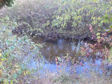 4107 E White River Dr, Hesperia, MI 49421 - photo 5