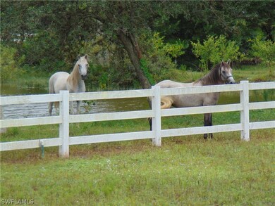 23800 Linda Lee Way, Fort Myers, FL 33913 - photo 2