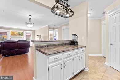 308 Gatehouse Ln unit 308D, Odenton, MD 21113 - photo 5