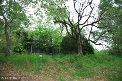 28385 Eleys Ford Rd, Richardsville, VA 22736 - photo 5