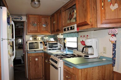 IMG_0182 (1)