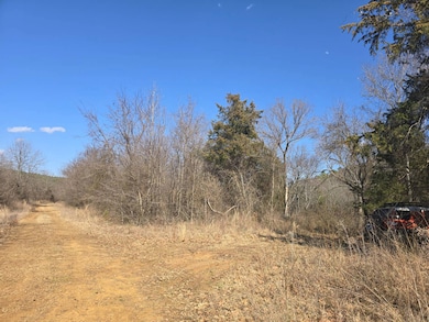 0000 W Howlite Loop, Leguire, OK 74944 - photo 4