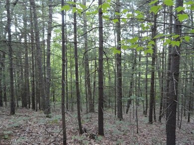 0 Grant St, Bitely, MI 49309 - photo 2