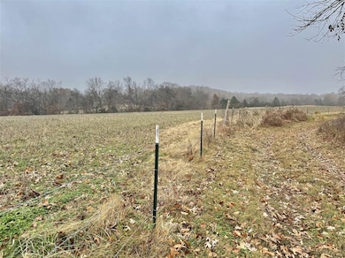 0 Duncan Rd, Alvaton, KY 42122 - photo 6