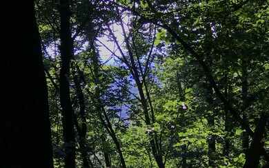 9.88A Tabor Rd, Ellijay, GA 30536 - photo 2