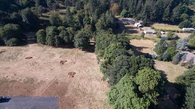 4535 Lobo Ln, Silverton, OR 97381 - photo 3