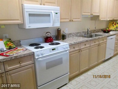3005 Leisure World Blvd S unit 311, Silver Spring, MD 20906 - photo 5