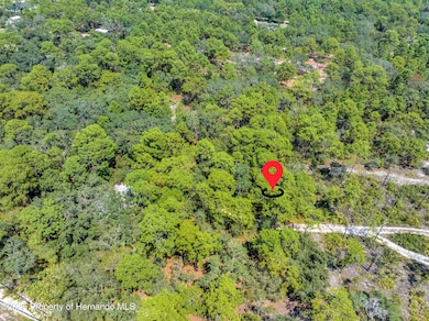 0 Restoration unit 2255435, Weeki Wachee, FL 34613 - photo 6