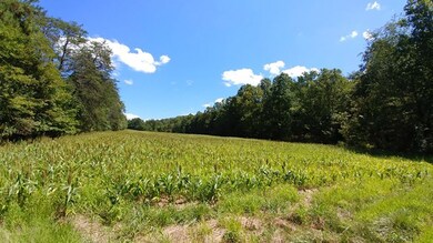 0 Quail Rd, Callands, VA 24530 - photo 2