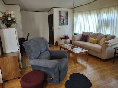 712 Lake Larch Dr, Lakeland, FL 33805 - photo 5