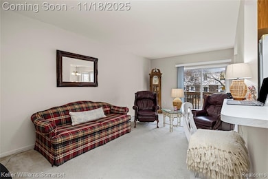 882 Natures Cove Ct, Wixom, MI 48393 - photo 6