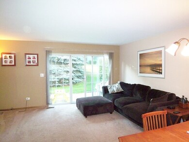 1838 Grove Ave unit 18B183, Schaumburg, IL 60193 - photo 4